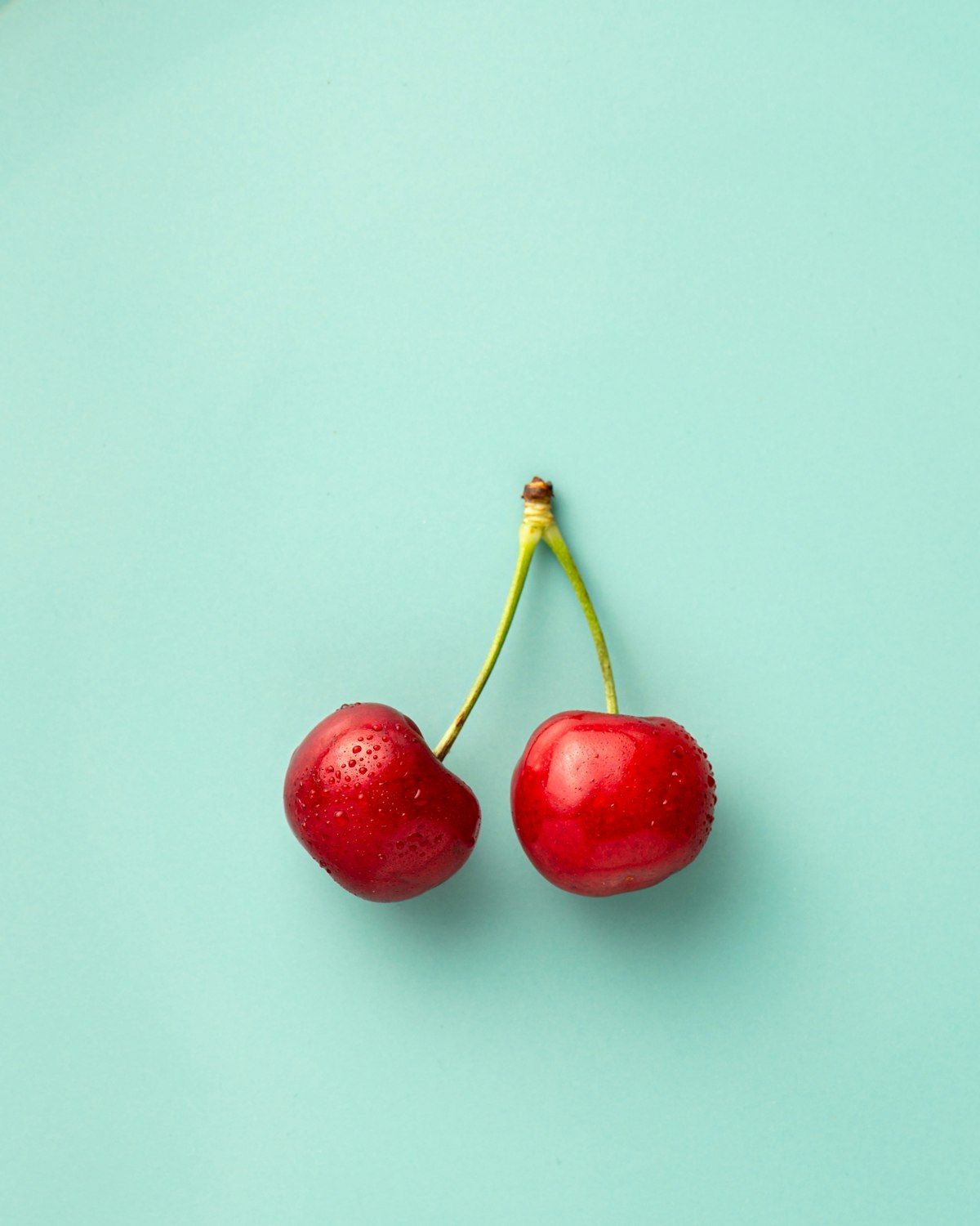 Cerises et fruits rouges