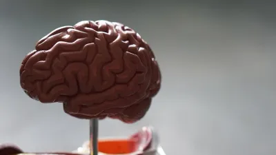 Dangers de la Whey : Avis Médical et Réalité Scientifique
