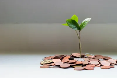 Myprotein vs Bulk : Le Match des Whey Discount 2025