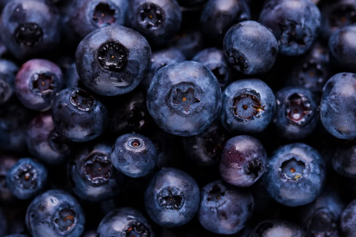 Smoothie aux fruits