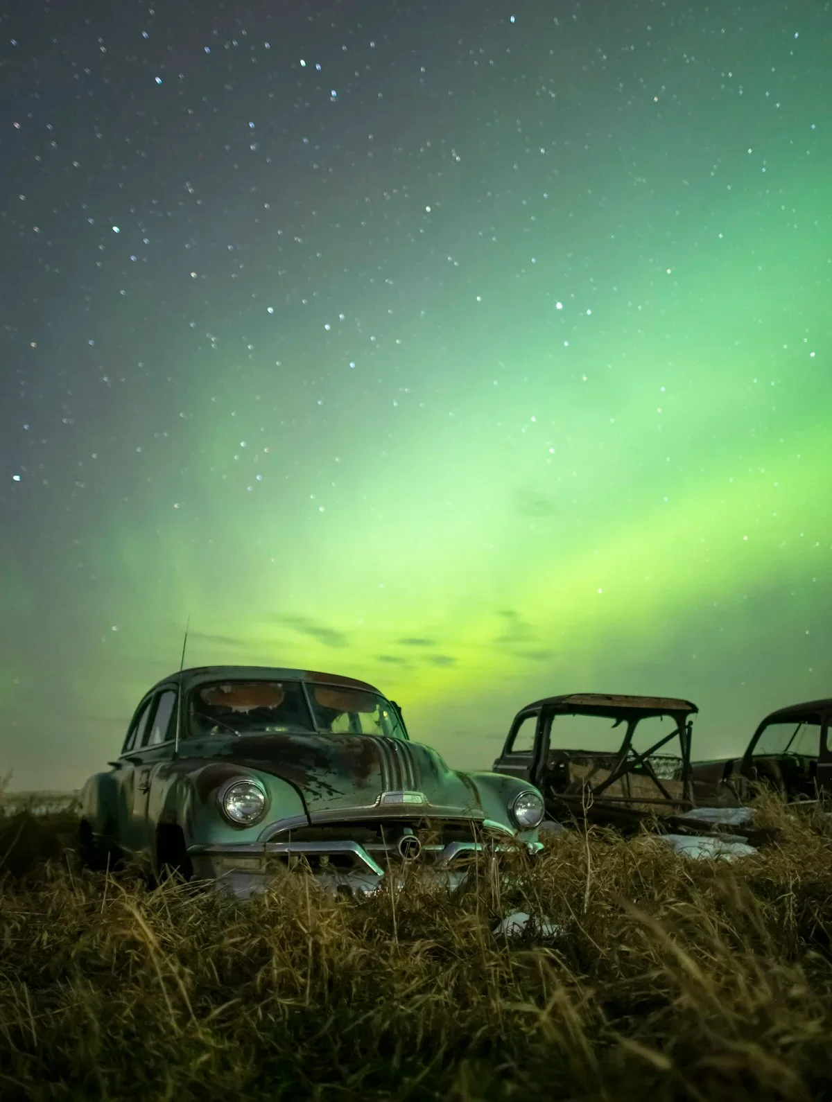 Poudre de protéine et créatine pour la musculation