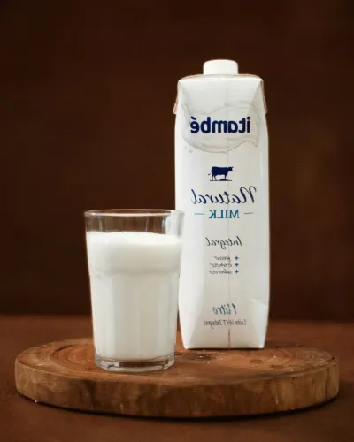 Meilleure Whey pour Intolérant au Lactose : Guide 2025